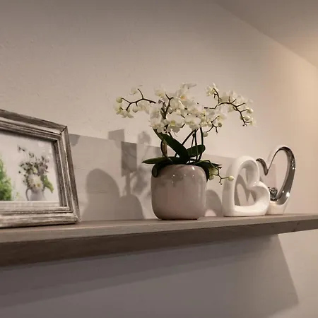Apartment Ferienwohnung Maarblick Ulmen
